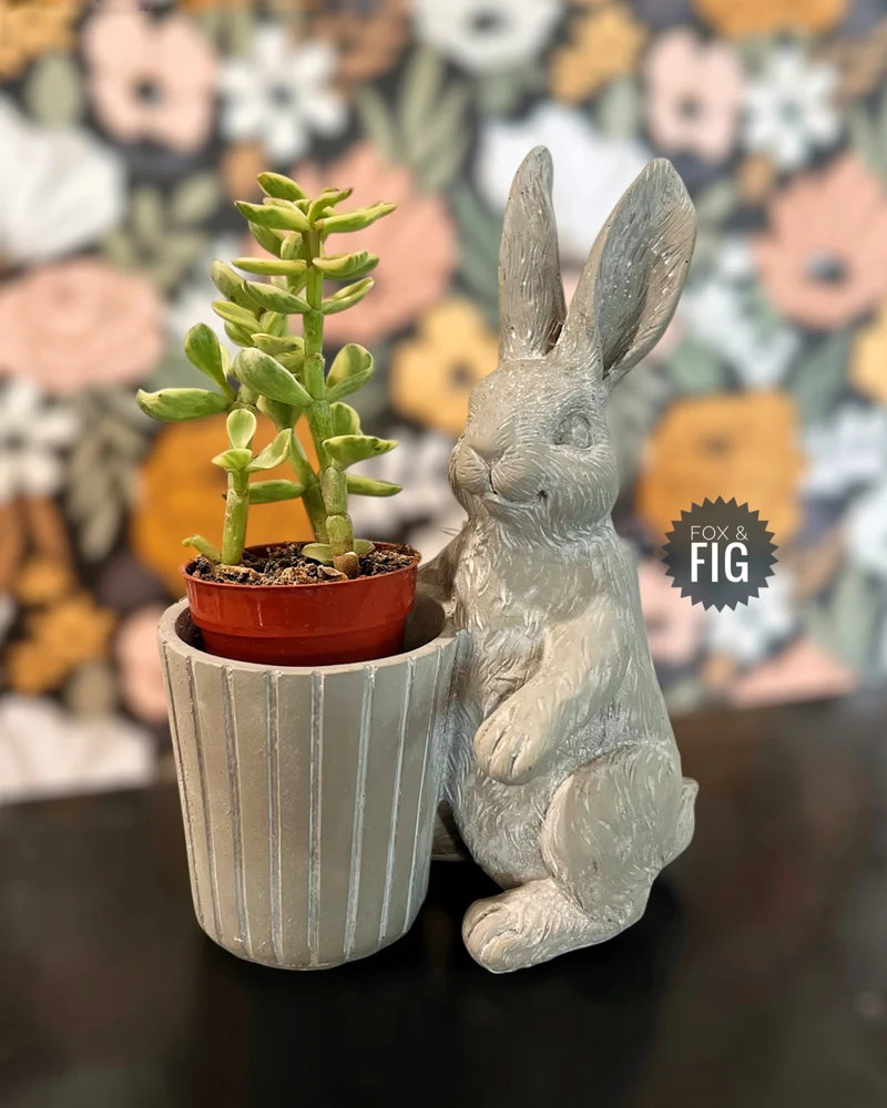 Standing Bunny ~ Various Styles