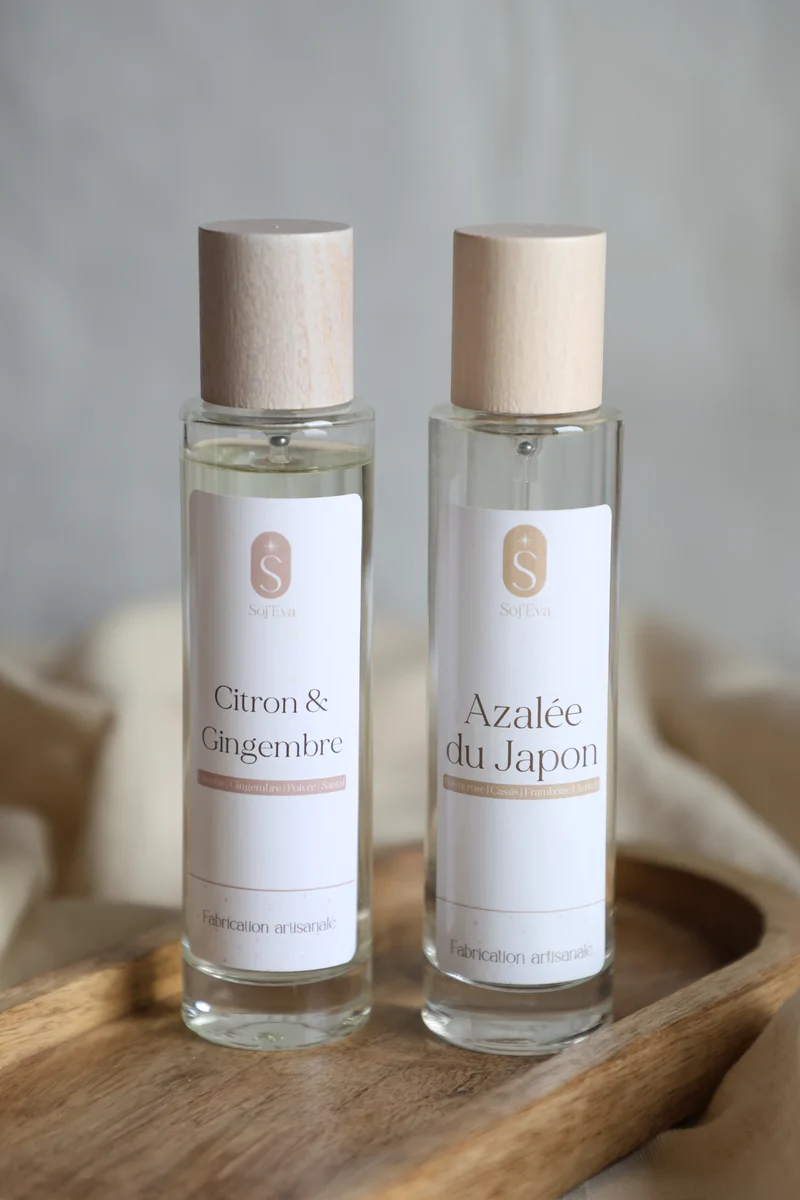 Brume parfumée | Spray d'ambiance | Parfum d'intérieur 100ml