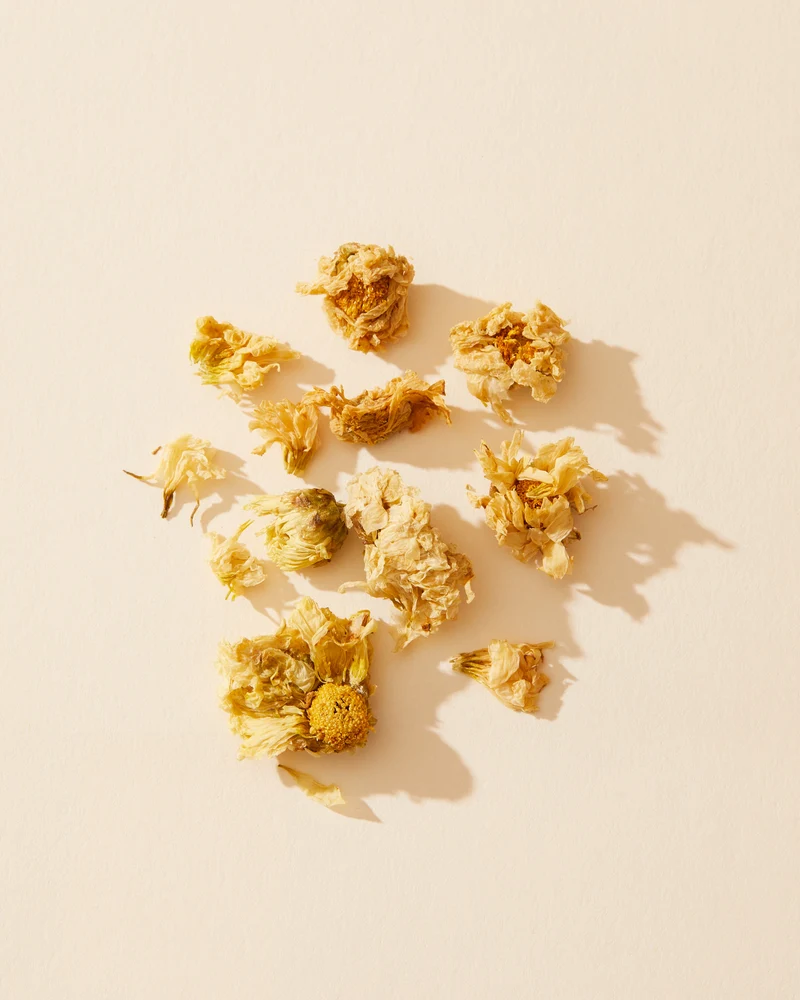 chrysanthemum flowers