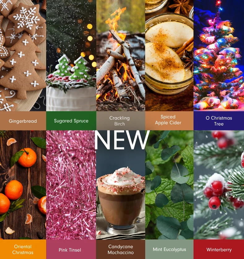 Winter Fragrance Explore Kit