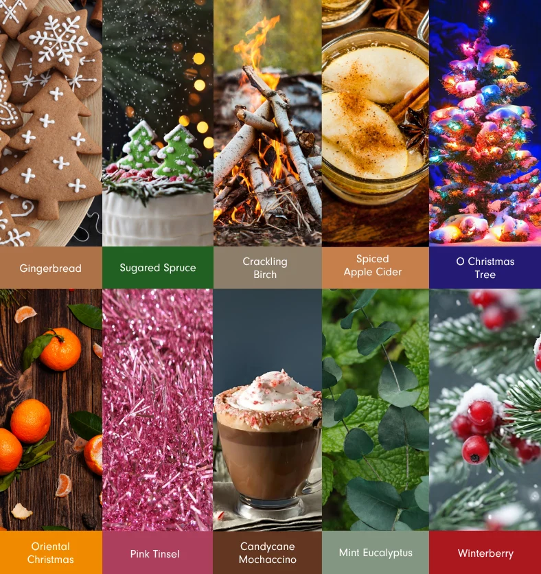 Winter Fragrance Explore Kit