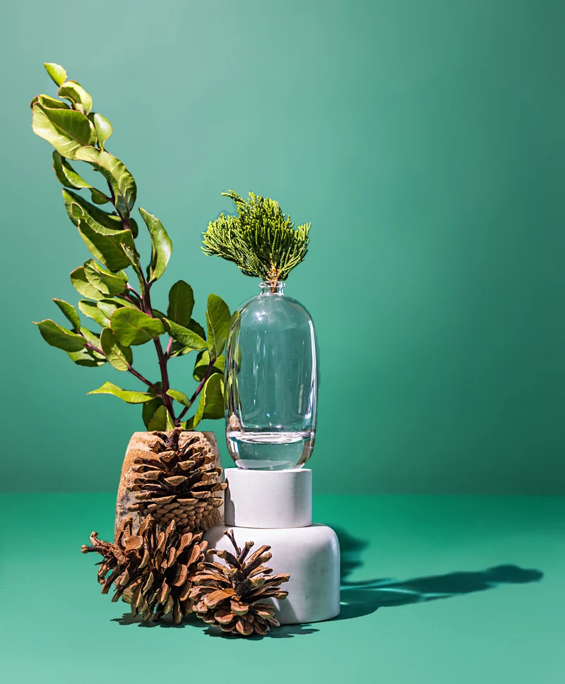 bayberry & fir wreath™ fragrance oil