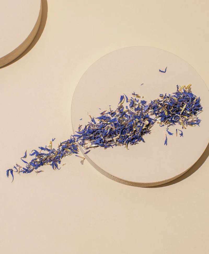blue cornflower petals