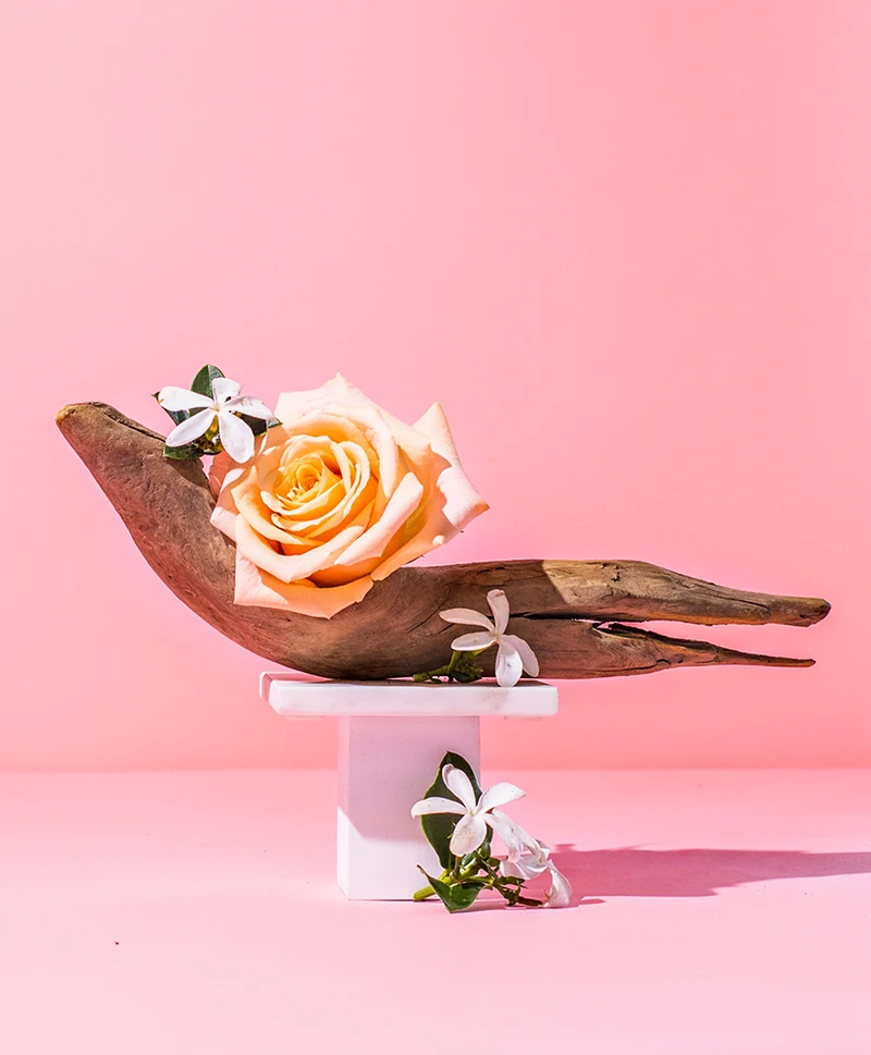 star jasmine & santal™ natural fragrance oil