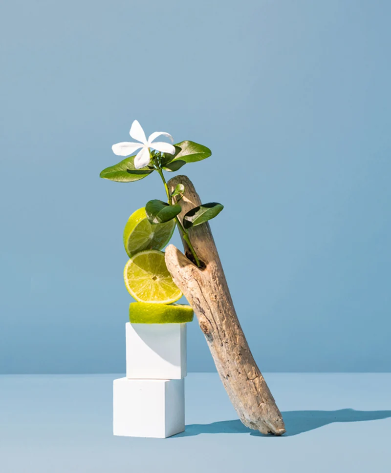 lemon blossom & sea mist™ fragrance oil