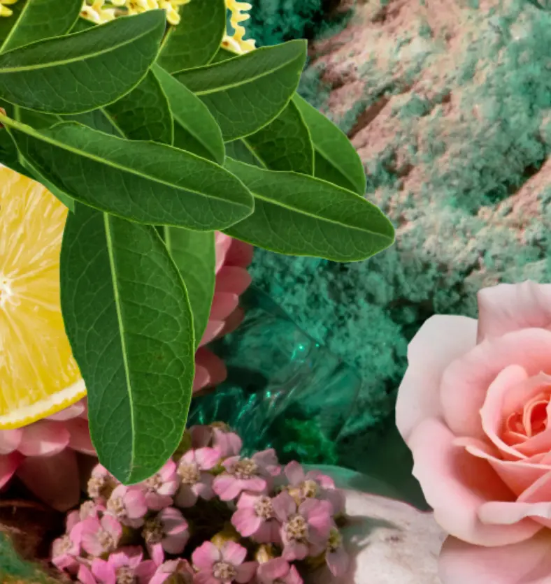 Floral Citrus - Essential Oil Blend