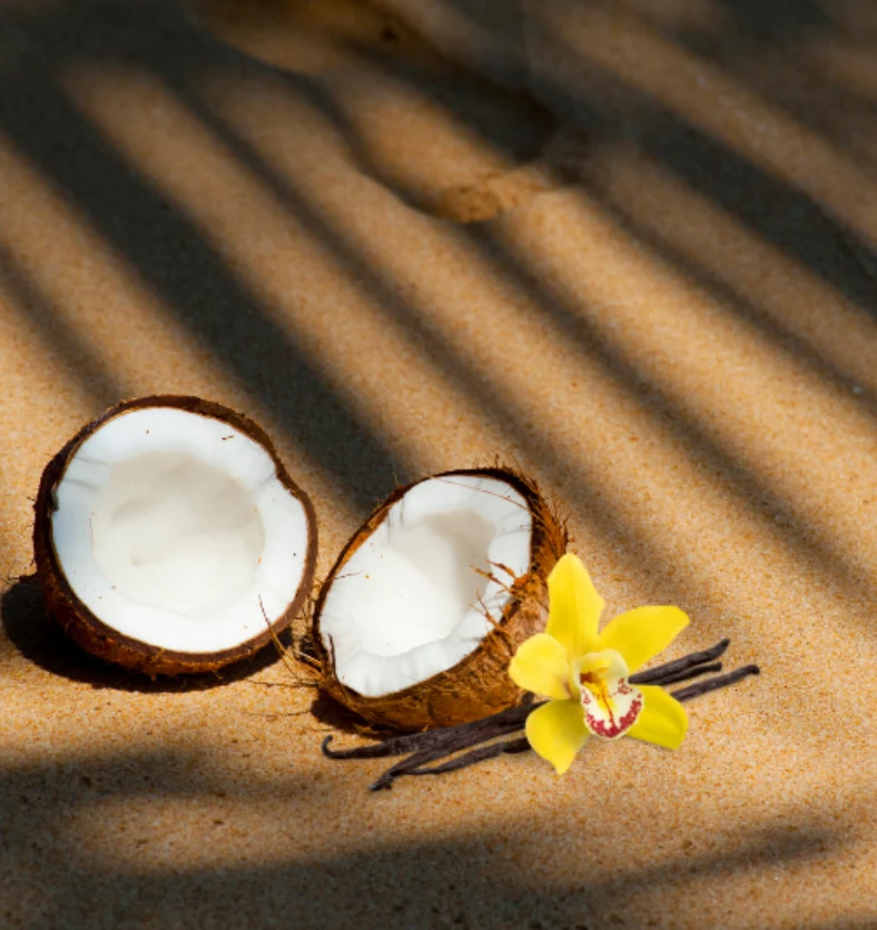 Lemon Coconut Vanilla - Fragrance Oil