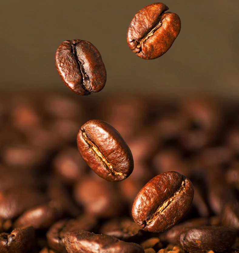 Roasted Java - Fragrance Oil
