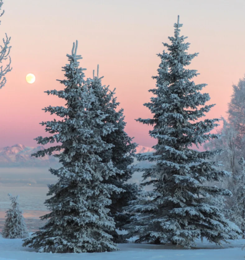 Winterscape - Fragrance Oil