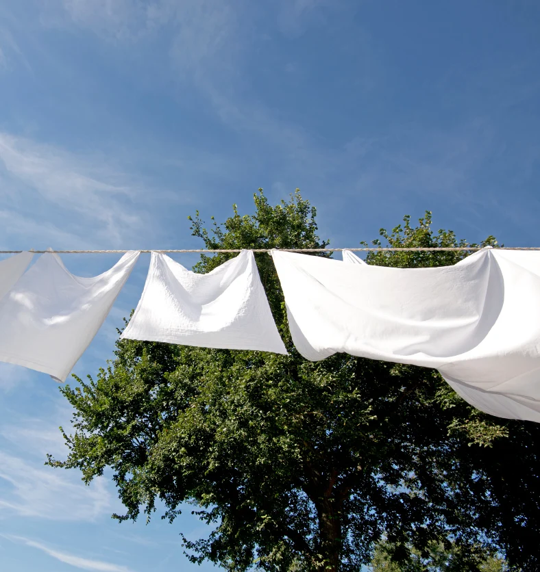 Fresh Linen - Fragrance Oil