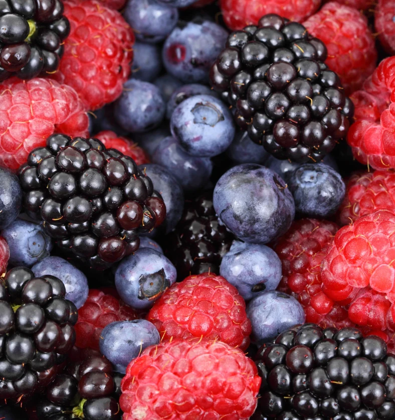 Berry Blaster - Fragrance Oil