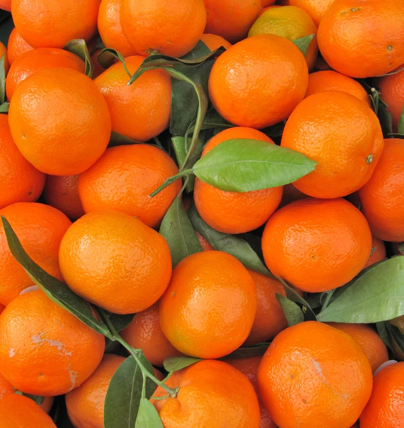 Clementine - Fragrance Oil