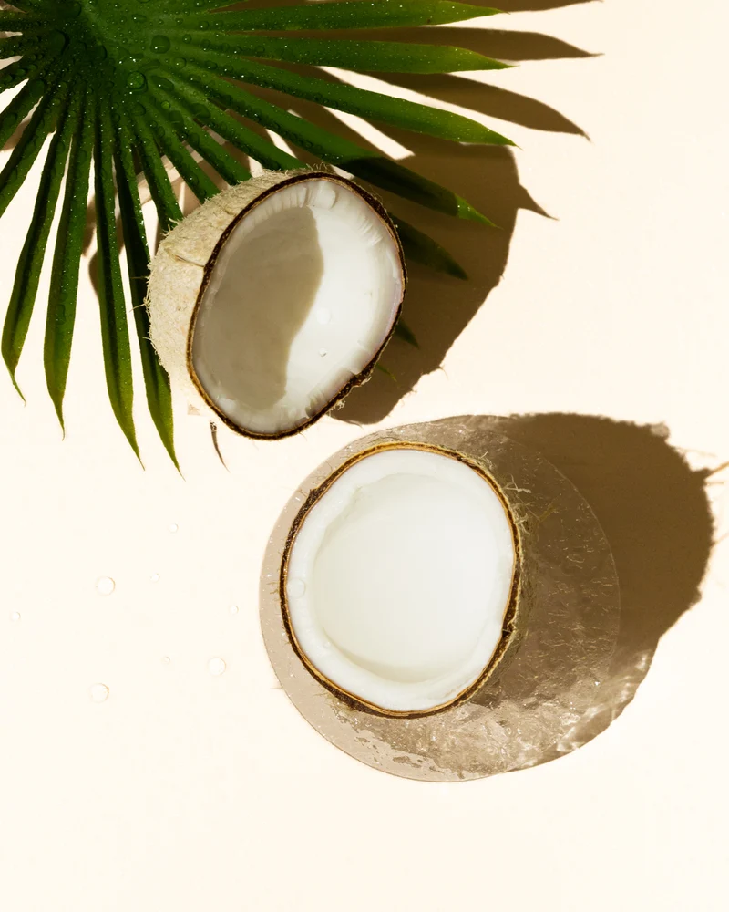 fresh coconut fragrance oil accord