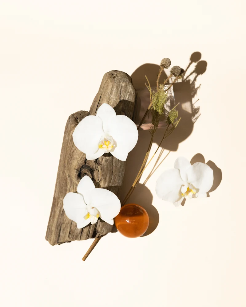 amber woods fragrance oil accord