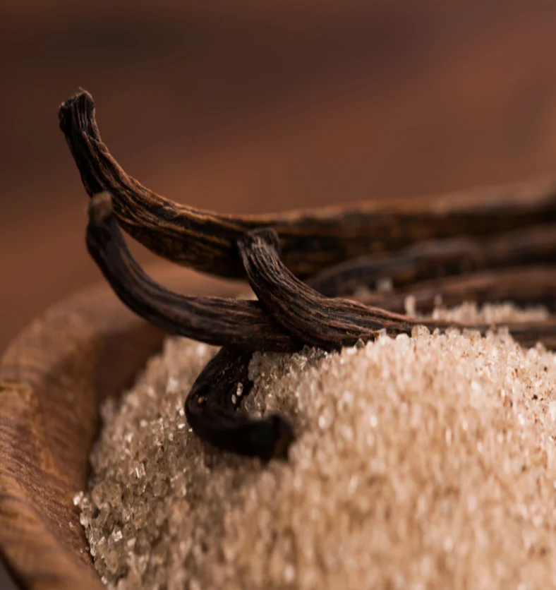 Warm Vanilla Sugar - Fragrance Oil