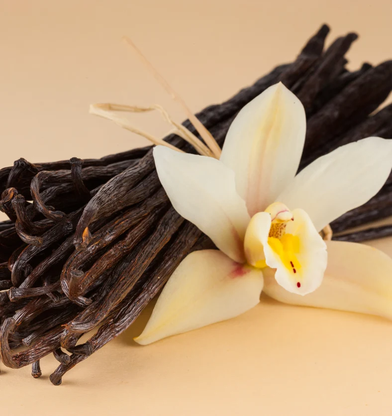 Vanilla - Fragrance Oil
