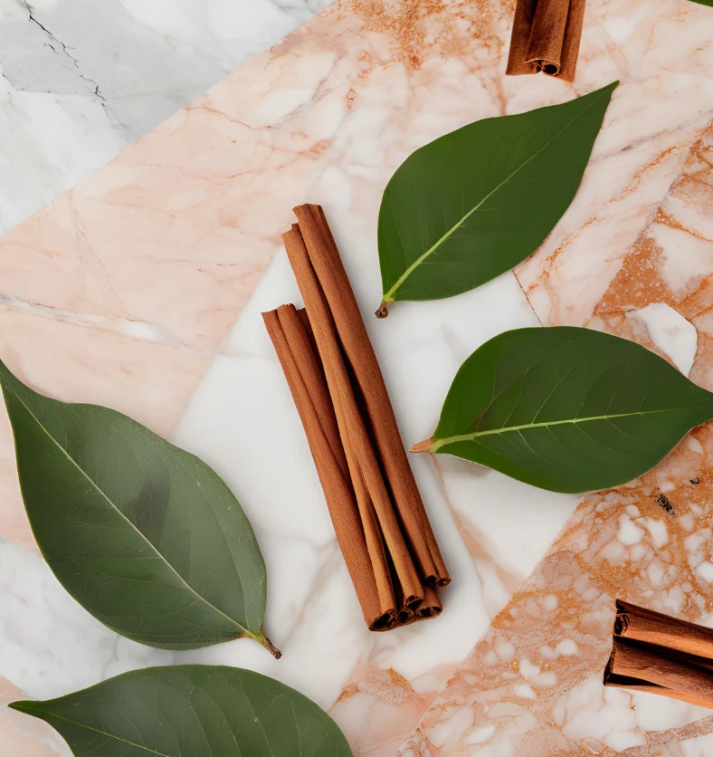 Cinnamon Kiss - Fragrance Oil