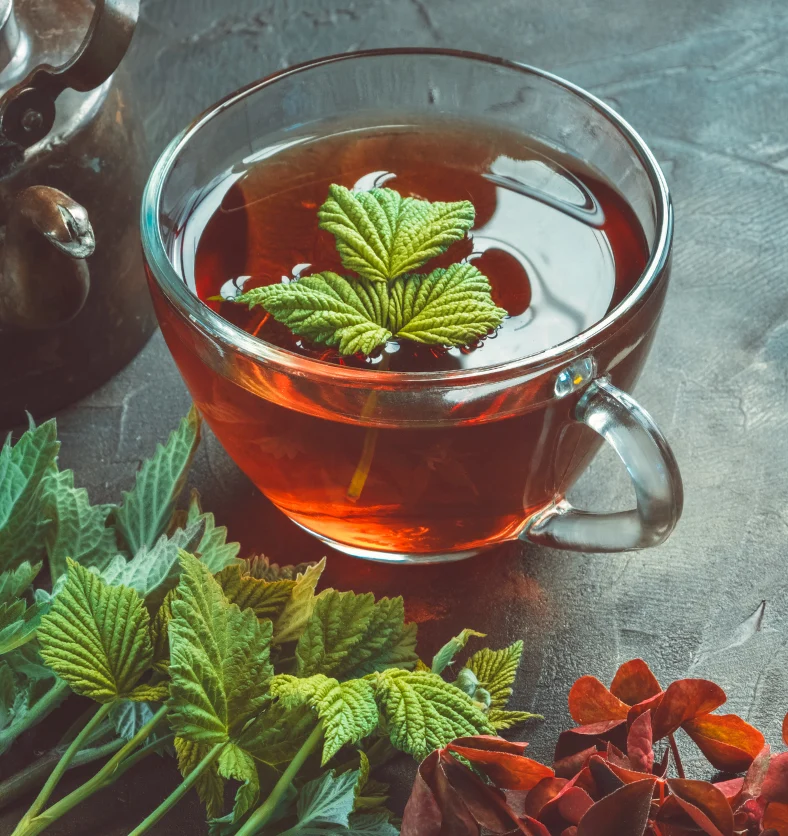 Peppermint - India - Essential Oil