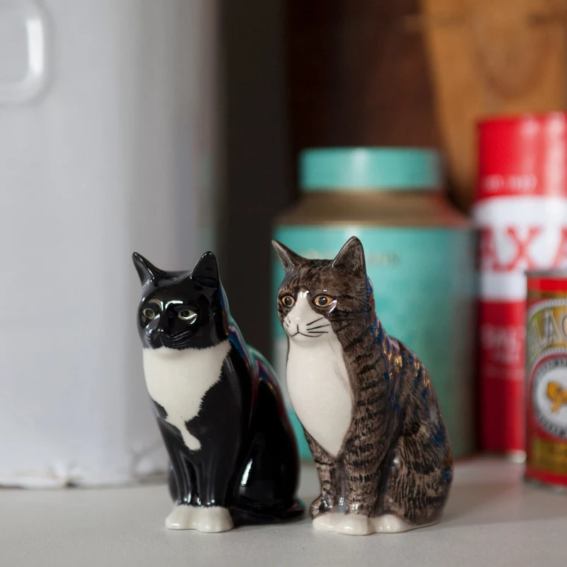 Sel poivre chat