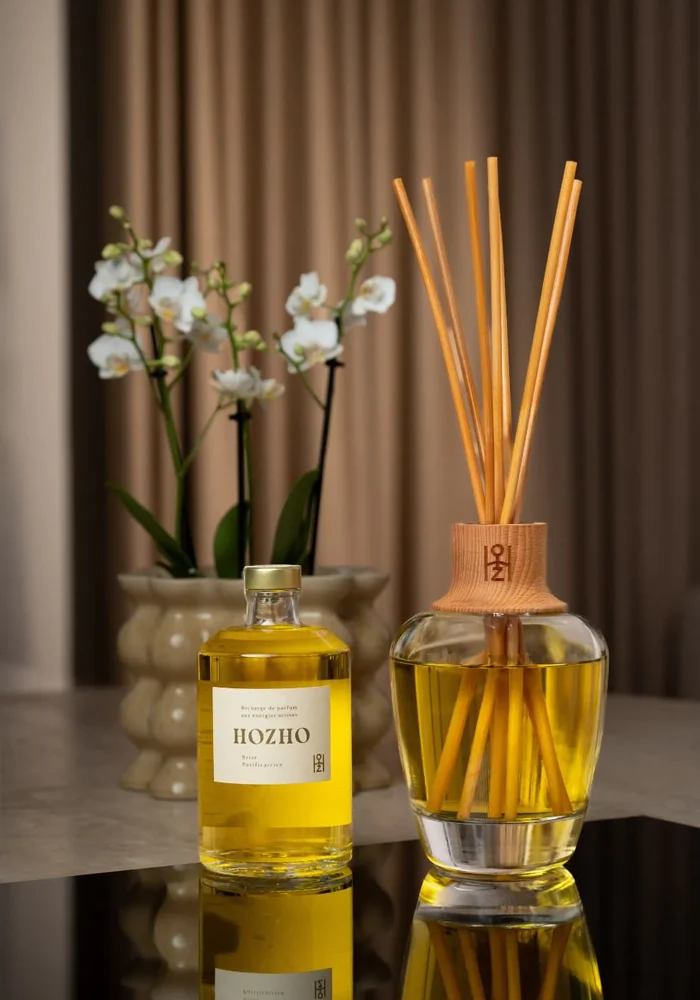 Coffret Diffuseur Purificatrice Les Brises 500ml